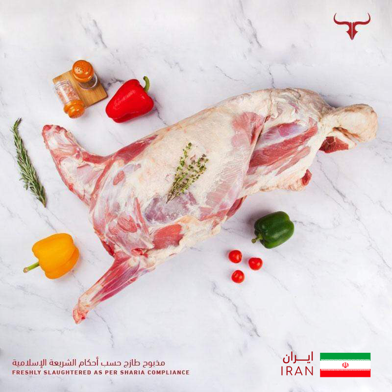 لحم ضأن إيراني مذبوح طازج كامل الذبيحة 11 كجم