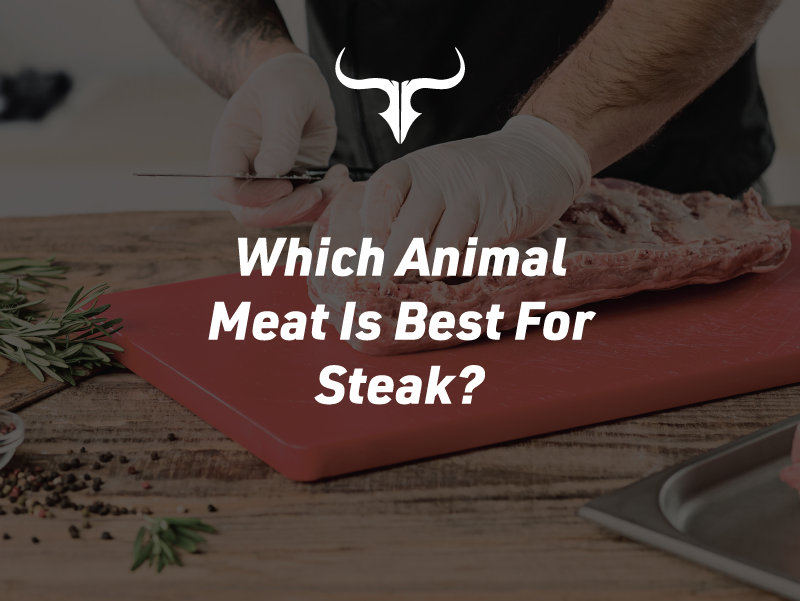 Which Animal Meat Is Best for Steak?