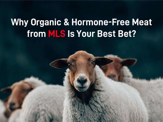 Why Organic and Hormone-Free Meat from MLS Is Your Best Bet