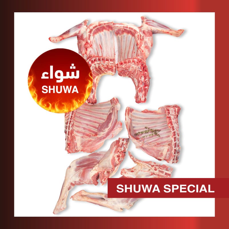 Muscat Livestock Fresh Somali Lamb SOM Local Whole Lamb Carcass 10-12 Kg