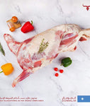 Muscat Livestock Fresh Somali Lamb Whole Carcass SOM Fresh Whole Lamb Carcass 10-12 Kg